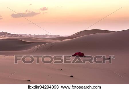 Zelt steht in Sanddunen, nach Sonnenuntergang, Leeres Viertel, Empty Quarter, Sandwuste Rub al-Chali, auch Rub al-Khali, Vereinigte Arabische Emirate, Asien View Large Photo Image Stock Image - Zelt steht in Sanddunen, nach Sonnenuntergang, Leeres Viertel, Empty Quarter, Sandwuste Rub al-Chali, auch Rub al-Khali, Vereinigte Arabische Emirate, Asien. Fotosearch