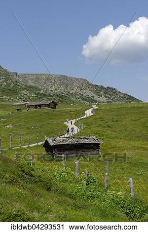 Alpine huts on the way to the Totenkirchlein chapel, Villanders alpine pasture, Villanders, Eisacktal, South Tyrol, Alto Adige, Italy, Europe View Large Photo Image Stock Image - Alpine huts on the way to the Totenkirchlein chapel, Villanders alpine pasture, Villanders, Eisacktal, South Tyrol, Alto Adige, Italy, Europe. Fotosearch