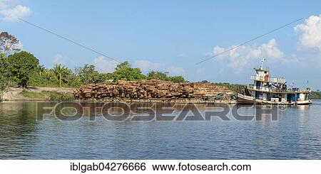Barge transporting rainforest logs on the Amazon River, Amazonas state, Brazil, South America View Large Photo Image Stock Photograph - Barge transporting rainforest logs on the Amazon River, Amazonas state, Brazil, South America. Fotosearch