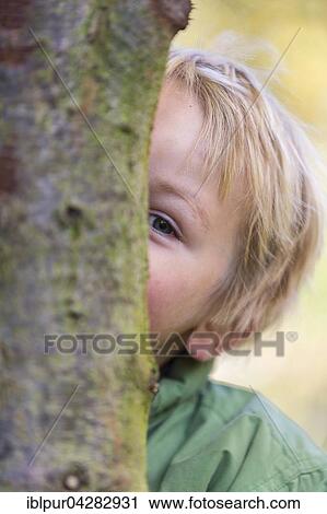 Stock Image - Boy behind tree, playing hide and seek, 3 years, Saxony, Germany, Europe. Fotosearch
