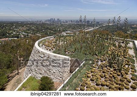 Cactus garden at the Getty Center, Los Angeles, California, USA, North America View Large Photo Image Stock Image - Cactus garden at the Getty Center, Los Angeles, California, USA, North America. Fotosearch