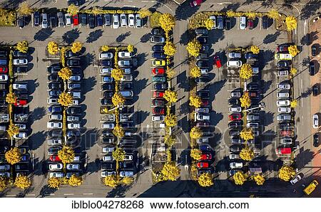 Stock Photo - Car park, deciduous trees, autumn, Essen, Ruhr district, North Rhine-Westphalia, Germany, Europe. Fotosearch
