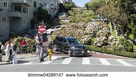 Cars and tourists on Lombard Street, San Francisco, California, USA, North America View Large Photo Image Stock Photo - Cars and tourists on Lombard Street, San Francisco, California, USA, North America. Fotosearch