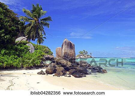 Coconut palms and granite rocks on beach, Anse Royal, Mahe Island, Seychelles, Africa View Large Photo Image Stock Photograph - Coconut palms and granite rocks on beach, Anse Royal, Mahe Island, Seychelles, Africa. Fotosearch