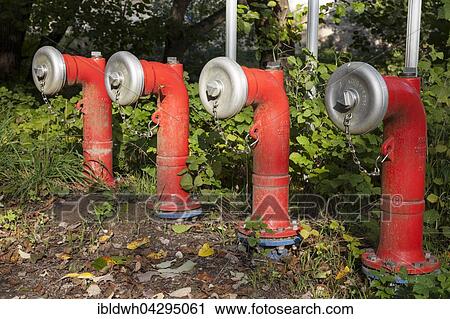 Fire hydrants View Large Photo Image Stock Image - Fire hydrants. Fotosearch