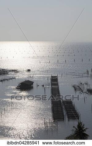 Fish farming, Songkhla Lake, Thale Sap Songkhla, Thailand, Asia View Large Photo Image Stock Image - Fish farming, Songkhla Lake, Thale Sap Songkhla, Thailand, Asia. Fotosearch