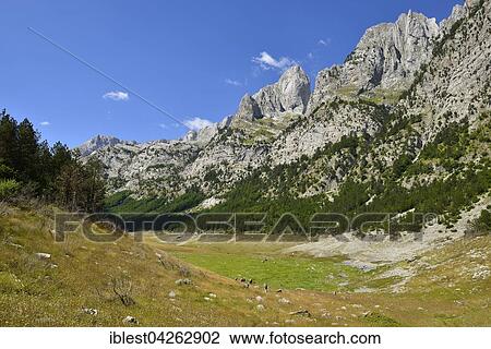 Stock Image - Group of hikers in the Ropojana valley, Prokletije Mountains National Park, Albanian Alps, Crna Gora, The Balkans, Monte, Europe. Fotosearch