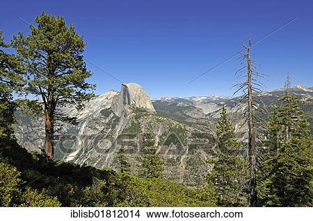 Half Dome, seen from Glacier Point, Yosemite National Park, California, USA, North America View Large Photo Image Picture - Half Dome, seen from Glacier Point, Yosemite National Park, California, USA, North America. Fotosearch