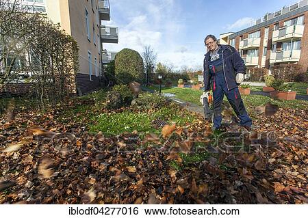 Janitor with leaf blower blowing up leaves in a residential area, Janitorial Service, Germany, Europe View Large Photo Image Stock Photograph - Janitor with leaf blower blowing up leaves in a residential area, Janitorial Service, Germany, Europe. Fotosearch