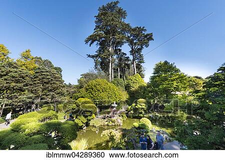 Japanese Tea Garden, Golden Gate Park, San Francisco, California, USA, North America View Large Photo Image Stock Image - Japanese Tea Garden, Golden Gate Park, San Francisco, California, USA, North America. Fotosearch