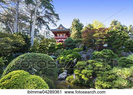 Japanese Tea Garden, Golden Gate Park, San Francisco, California, USA, North America View Large Photo Image Stock Image - Japanese Tea Garden, Golden Gate Park, San Francisco, California, USA, North America. Fotosearch
