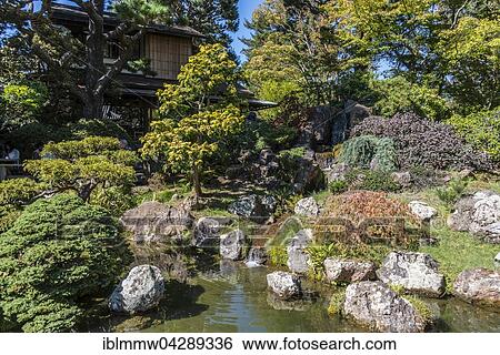 Japanese Tea Garden, Golden Gate Park, San Francisco, California, USA, North America View Large Photo Image Stock Photograph - Japanese Tea Garden, Golden Gate Park, San Francisco, California, USA, North America. Fotosearch