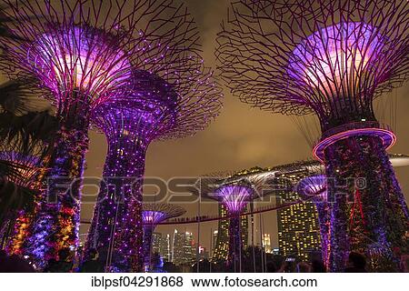 Stock Photo - Lit Super Trees, Gardens by the Bay, Singapore, Asia. Fotosearch