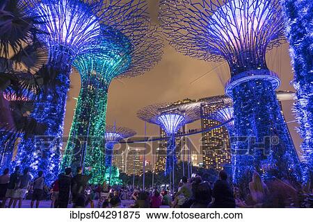 Lit Super Trees, Gardens by the Bay, Singapore, Asia View Large Photo Image Stock Photography - Lit Super Trees, Gardens by the Bay, Singapore, Asia. Fotosearch