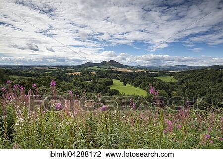 Stock Image - Lookout, Scott's View, St Boswells, Borders District, Scotland, United Kingdom, Europe. Fotosearch