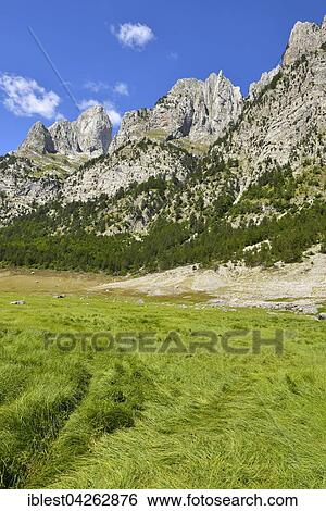 Mountain view from Ropojana valley towards Karanfili, Prokletije Mountains National Park, Albanian Alps, Crna Gora, The Balkans, Monte, Europe View Large Photo Image Stock Photograph - Mountain view from Ropojana valley towards Karanfili, Prokletije Mountains National Park, Albanian Alps, Crna Gora, The Balkans, Monte, Europe. Fotosearch