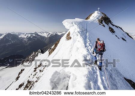 Mountaineer ascending the Wildspitze summit via the northeast ridge, Venter valley, Vent, Solden, Otztal, Alps, Tyrol, Austria, Europe View Large Photo Image Stock Photograph - Mountaineer ascending the Wildspitze summit via the northeast ridge, Venter valley, Vent, Solden, Otztal, Alps, Tyrol, Austria, Europe. Fotosearch