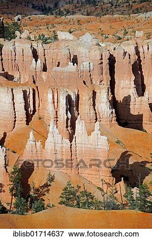 Stock Photo - Rock formations and hoodoos in the evening, Bryce Canyon National Park, Sunset Point, Utah, USA, America, North America. Fotosearch