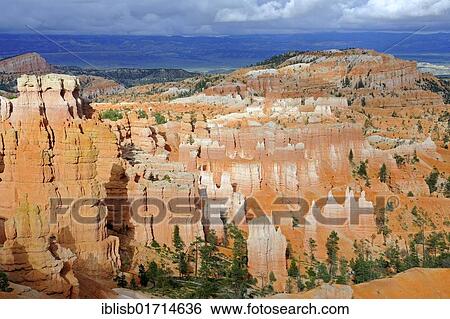 Stock Photograph - Rock formations and hoodoos in the evening, Bryce Canyon National Park, Sunset Point, Utah, USA, America, North America. Fotosearch
