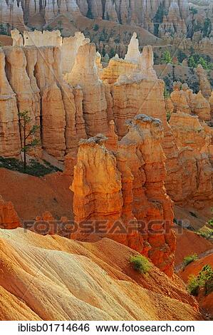Rock formations and hoodoos in the evening, Bryce Canyon National Park, Sunset Point, Utah, USA, America, North America View Large Photo Image Stock Photograph - Rock formations and hoodoos in the evening, Bryce Canyon National Park, Sunset Point, Utah, USA, America, North America. Fotosearch
