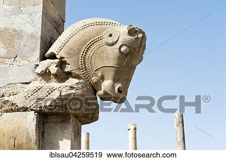 Sculpture, head of a bull, Hundred Column Hall, ancient Persian city of Persepolis, UNESCO World Heritage Site, Fars Province, Iran, Asia View Large Photo Image Stock Photo - Sculpture, head of a bull, Hundred Column Hall, ancient Persian city of Persepolis, UNESCO World Heritage Site, Fars Province, Iran, Asia. Fotosearch