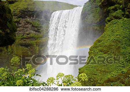 Skogafoss waterfall, Skoga River, Skogar, Iceland, Europe View Large Photo Image Stock Photograph - Skogafoss waterfall, Skoga River, Skogar, Iceland, Europe. Fotosearch