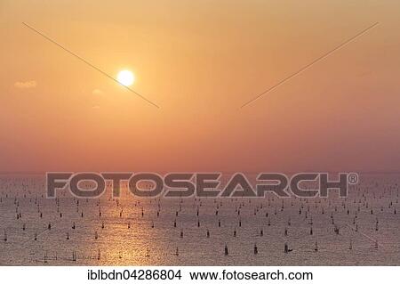 Sunset over Songkhla Lake, Thale Sap Songkhla, Thailand, Asia View Large Photo Image Picture - Sunset over Songkhla Lake, Thale Sap Songkhla, Thailand, Asia. Fotosearch