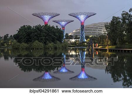 Super Trees, Gardens by the Bay, Singapore, Asia View Large Photo Image Stock Image - Super Trees, Gardens by the Bay, Singapore, Asia. Fotosearch