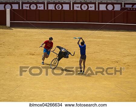 Toreros practicing bullfighting, La Malagueta bullring, Malaga, Andalucia, Costa del Sol, Spain, Europe View Large Photo Image Picture - Toreros practicing bullfighting, La Malagueta bullring, Malaga, Andalucia, Costa del Sol, Spain, Europe. Fotosearch