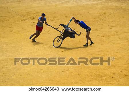 Toreros practicing bullfighting, La Malagueta bullring, Malaga, Andalucia, Costa del Sol, Spain, Europe View Large Photo Image Stock Image - Toreros practicing bullfighting, La Malagueta bullring, Malaga, Andalucia, Costa del Sol, Spain, Europe. Fotosearch