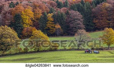 Stock Image - Tractor in autumn, Freiburg im Breisgau, Black Forest, Baden-Wuerttemberg, Germany, Europe. Fotosearch