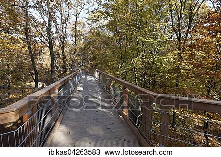 Tree-top walk in Naturerlebnispark Panarbora-Park, Waldbrol, Oberbergischer Kreis, North Rhine-Westalen, Germany, Europe View Large Photo Image Stock Image - Tree-top walk in Naturerlebnispark Panarbora-Park, Waldbrol, Oberbergischer Kreis, North Rhine-Westalen, Germany, Europe. Fotosearch