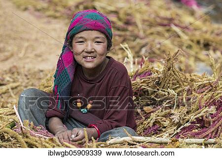 A little girl sitting in a pile of pearl millet, Manaslu region, Himalayas, Nepal, Asia View Large Photo Image Stock Photo - A little girl sitting in a pile of pearl millet, Manaslu region, Himalayas, Nepal, Asia. Fotosearch