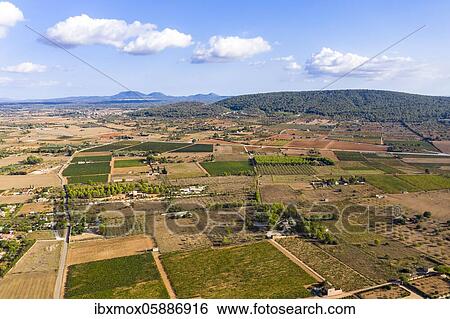 Aerial view, agriculture, fields with olive trees, near Santa Eugenia and Santa Maria, Majorca, Balearic Islands, Spain, Europe View Large Photo Image Stock Photograph - Aerial view, agriculture, fields with olive trees, near Santa Eugenia and Santa Maria, Majorca, Balearic Islands, Spain, Europe. Fotosearch