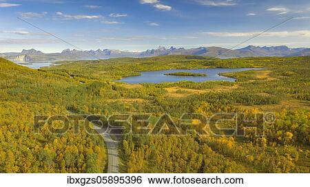 Aerial view, autumnal forest by the fells, country road next to lake Botnvatnet, mountain range in the background, Hamarøy, Nordland, Norway, Europe View Large Photo Image Stock Photograph - Aerial view, autumnal forest by the fells, country road next to lake Botnvatnet, mountain range in the background, Hamarøy, Nordland, Norway, Europe. Fotosearch