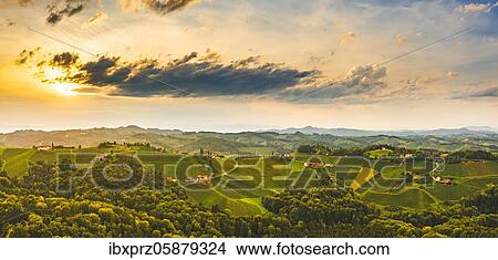 Aerial view, Panorama of Vineyards in the evening light, South Styria, Austria, Europe View Large Photo Image Picture - Aerial view, Panorama of Vineyards in the evening light, South Styria, Austria, Europe. Fotosearch