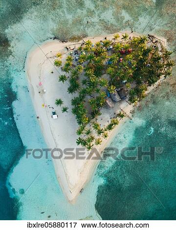 Aerial view, tropical island with palm trees, San Blas Islands View Large Photo Image Stock Photo - Aerial view, tropical island with palm trees, San Blas Islands. Fotosearch