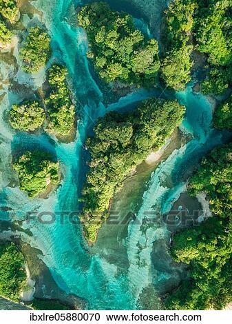 Stock Image - Aerial view, tropical mangrove islands in the Caribbean, Escudo de Veraguas, Panama, Central America. Fotosearch