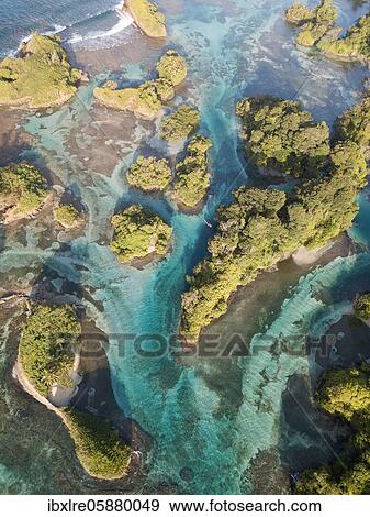 Aerial view, tropical mangrove islands in the Caribbean, Escudo de Veraguas, Panama, Central America View Large Photo Image Stock Photo - Aerial view, tropical mangrove islands in the Caribbean, Escudo de Veraguas, Panama, Central America. Fotosearch