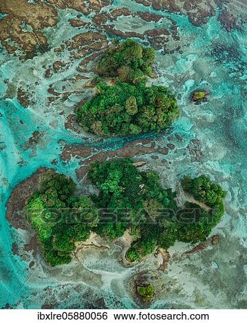 Stock Photograph - Aerial view, tropical mangrove islands in the Caribbean, Escudo de Veraguas, Panama, Central America. Fotosearch