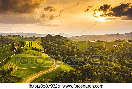 Aerial view, Vineyards in the evening light, South Styria, Austria, Europe View Large Photo Image Stock Photography - Aerial view, Vineyards in the evening light, South Styria, Austria, Europe. Fotosearch