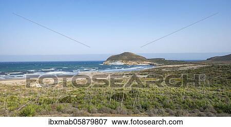 Stock Photo - Agaves on the beach, Playa de Los Genoveses, Cabo de Gata-Nijar National Park, Almería, Spain, Europe. Fotosearch