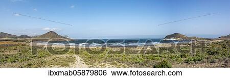 Stock Photograph - Agaves on the beach, Playa de Los Genoveses, Cabo de Gata-Nijar National Park, Almería, Spain, Europe. Fotosearch