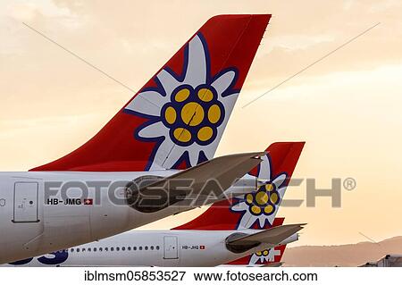 Stock Photo - Airbus A340 aircraft Tails of Edelweiss at Zurich Airport (ZRH) in the, Zurich, Switzerland, Europe. Fotosearch