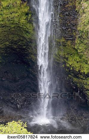 Akaka Waterfall, Akaka Falls State Park, Big Island, Hawaii View Large Photo Image Picture - Akaka Waterfall, Akaka Falls State Park, Big Island, Hawaii. Fotosearch
