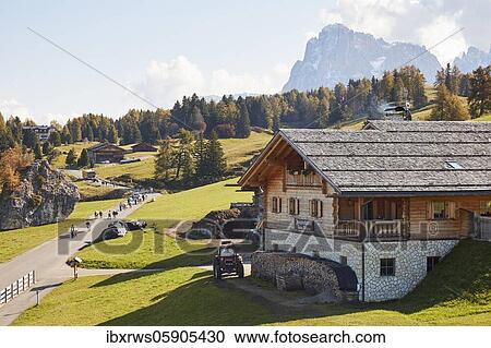 Almabtrieb on the Seiser Alm in autumn, Alpe di Siusi, South Tyrol, Italy, Europe View Large Photo Image Stock Image - Almabtrieb on the Seiser Alm in autumn, Alpe di Siusi, South Tyrol, Italy, Europe. Fotosearch