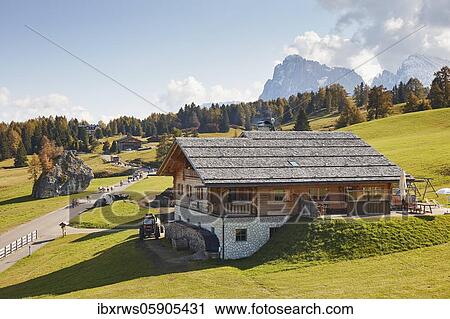 Almabtrieb on the Seiser Alm in autumn, Alpe di Siusi, South Tyrol, Italy, Europe View Large Photo Image Stock Image - Almabtrieb on the Seiser Alm in autumn, Alpe di Siusi, South Tyrol, Italy, Europe. Fotosearch
