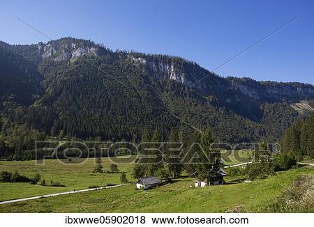 Stock Photo - Alpine meadows and alpine huts in Rettenbachtal, Bad Ischl, Salzkammergut, Upper Austria, Austria, Europe. Fotosearch