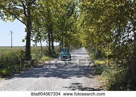 Picture - Ape, Via Prati Nuovi, Brussa Nature Reserve, Bibione, Adriatic Sea, Veneto, Italy, Europe. Fotosearch