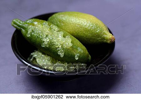 Australian finger lime (Microcitrus australasica) in bowl, finger lime, lime caviar, Germany, Europe View Large Photo Image Stock Image - Australian finger lime (Microcitrus australasica) in bowl, finger lime, lime caviar, Germany, Europe. Fotosearch